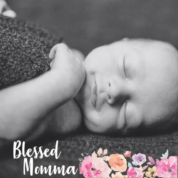 Meet your Posher, Dakota - Picture 1 of 1